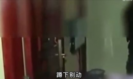 很黄很色的视频,一场视觉与道德的较量